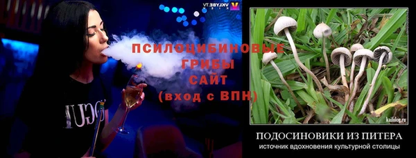 хмурый Белокуриха