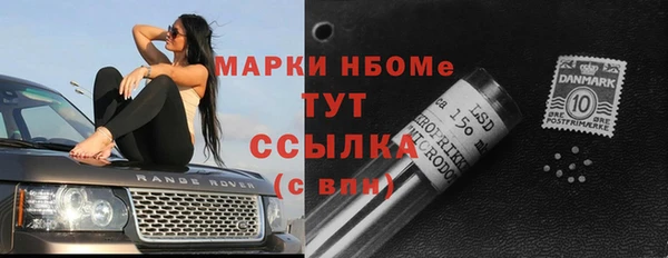 хмурый Белокуриха