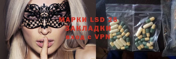 хмурый Белокуриха