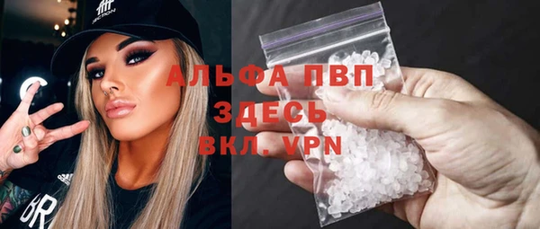 хмурый Белокуриха