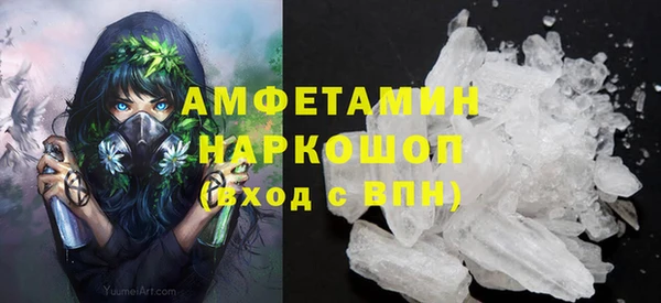 хмурый Белокуриха